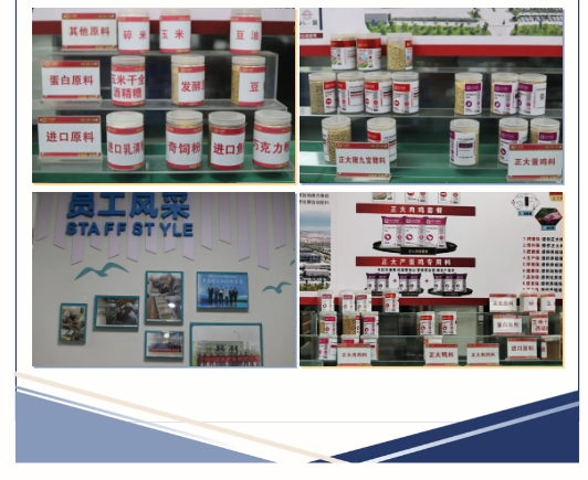 微信截图_20240422095657